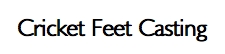 Cricket
                    Feet Casting