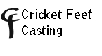 Cricket
                Feet Casting
